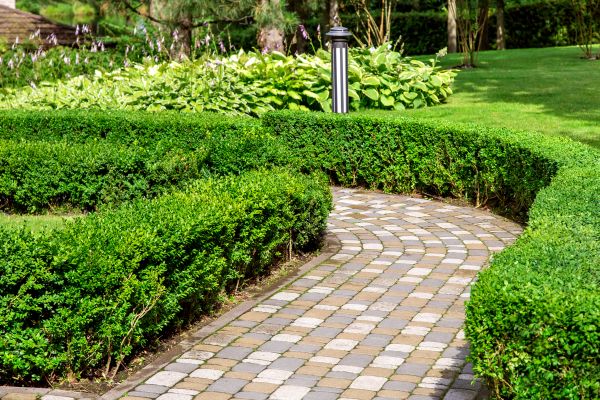Cost of Paved Landscaping in Laguna Niguel