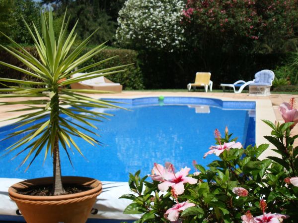 Pool Terrace Renovation in Laguna Niguel